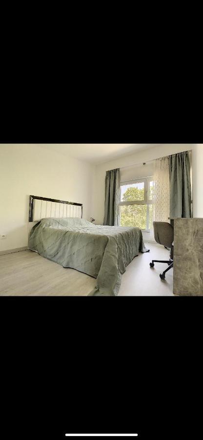 La Petite Camargue Villa Saint-Louis (Haut-Rhin)